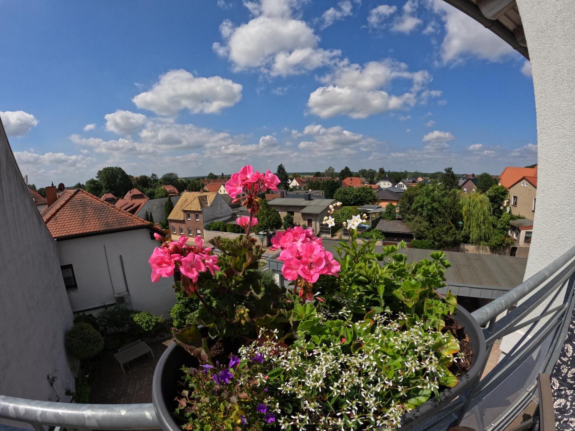 Ferienwohnung Ausblick Bad Düben Eksteriør billede